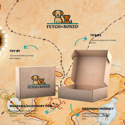 Fetch & Boxed | Bark Tide Treasures Fetch & Boxed