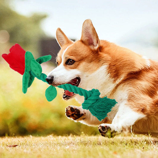 Dog Toy Rose Flower Plush Durable Biting Tooth Cleaning Cotton Rope Knot Crinkle Sound Self-Entertainment Interactive Pet Product eprolo