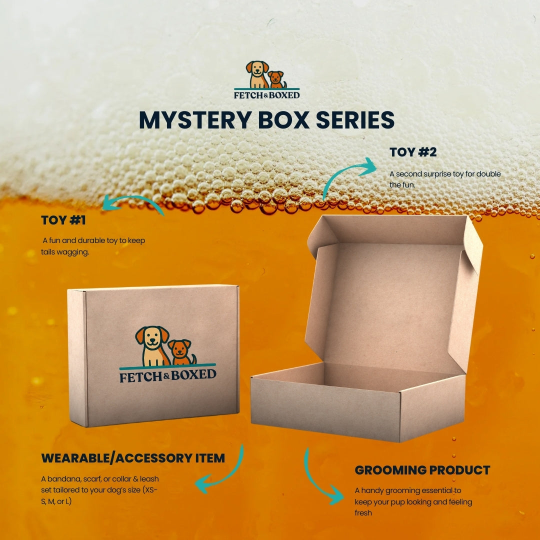 Mystery Box: The Bark & Brew 🍺 Fetch & Boxed