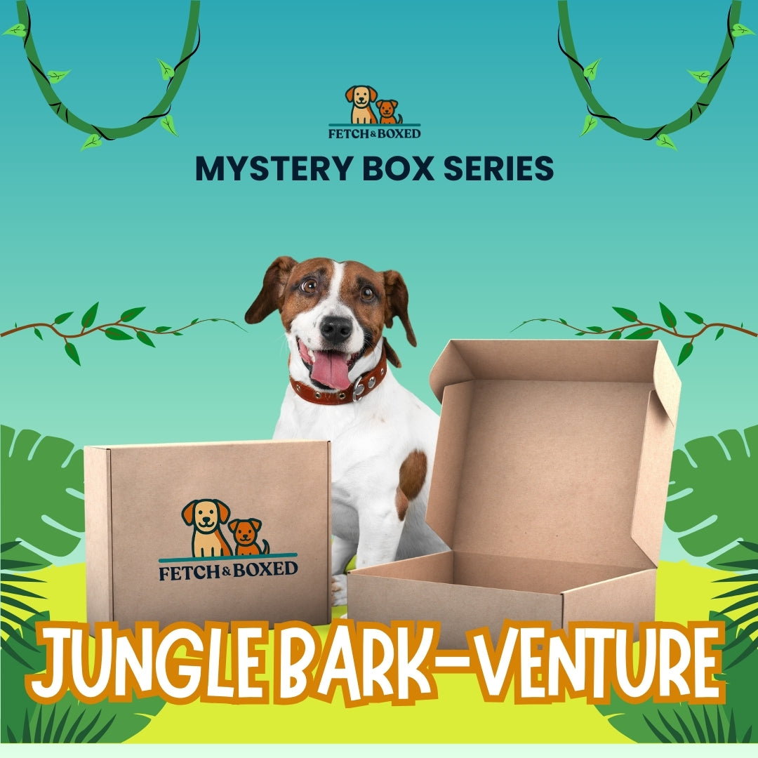 Mystery Box: Jungle Bark-venture 🐾 Fetch & Boxed