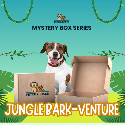 Mystery Box: Jungle Bark-venture 🐾 Fetch & Boxed