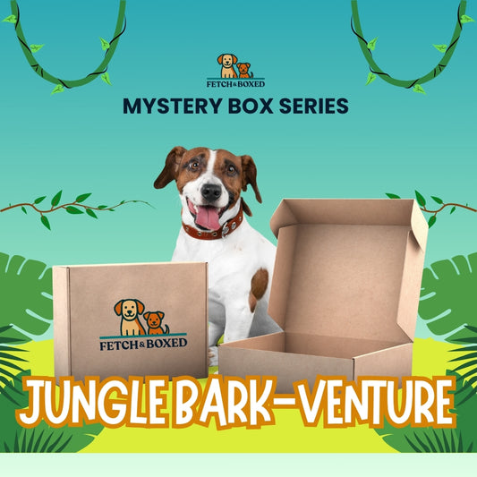 Fetch & Boxed | Mystery Box: Jungle Bark-venture 🐾