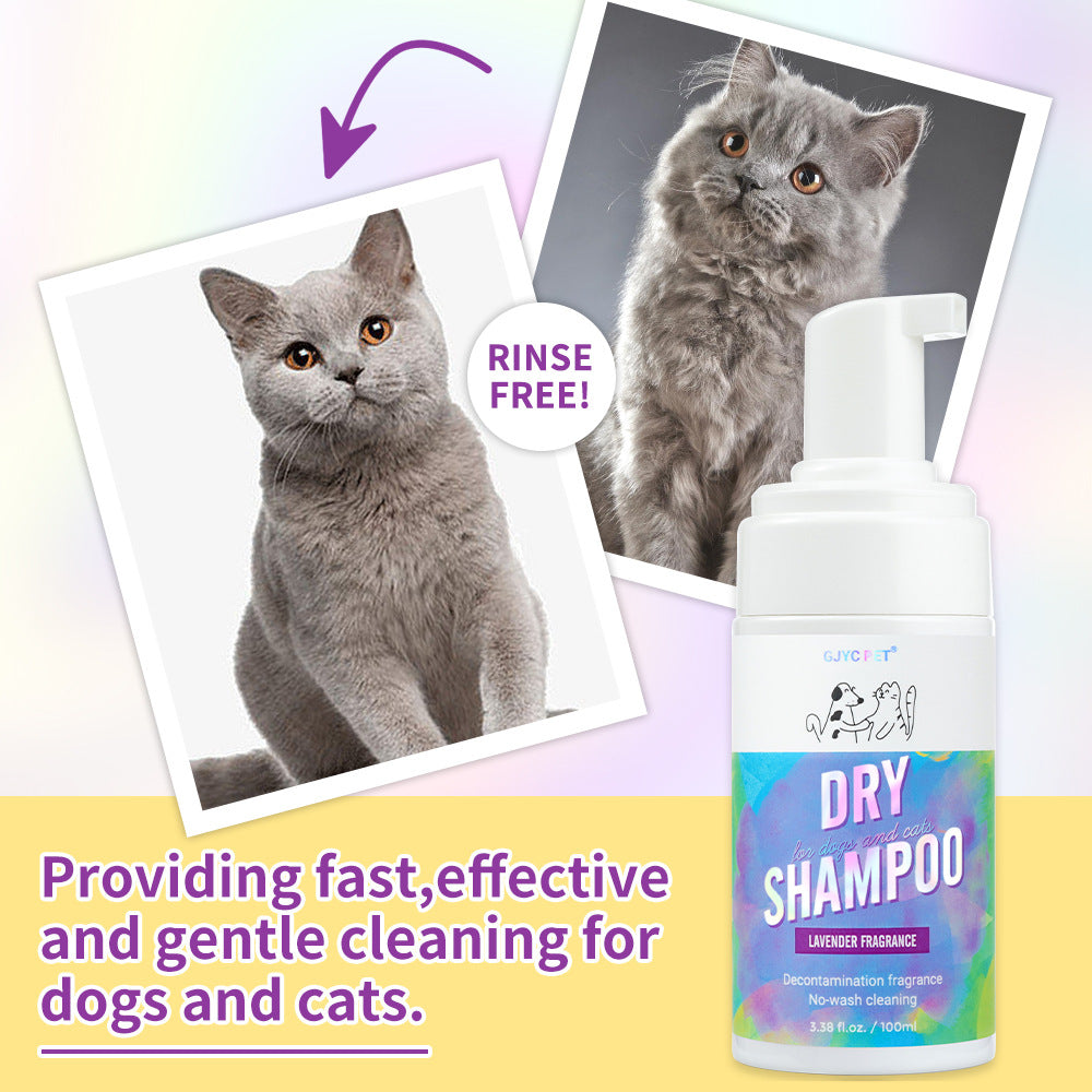 Cat Dry Shampoo Bubbles Pet No-Rinse Deodorizing and Fragrant Teddy No-Wash eprolo