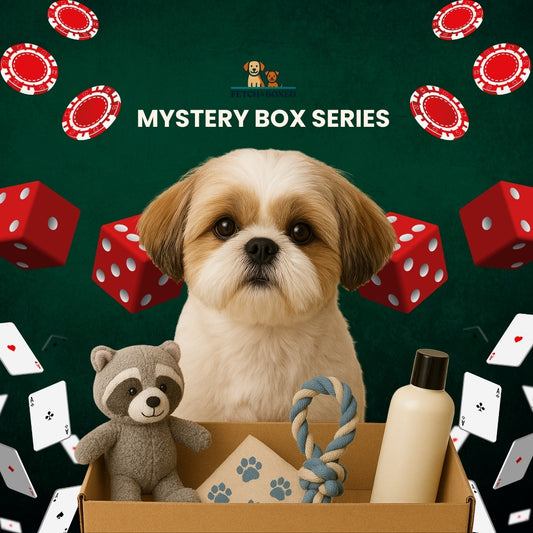Fetch & Boxed | Mystery Box: Paw-sino Royale ♠️