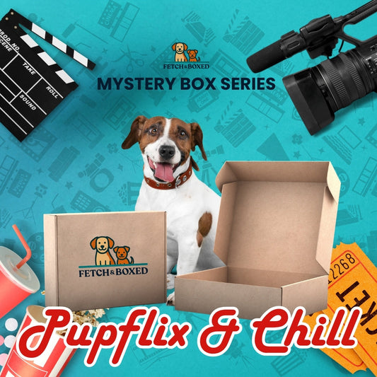 Mystery Box: Pupflix & Chill 🍿 Fetch & Boxed