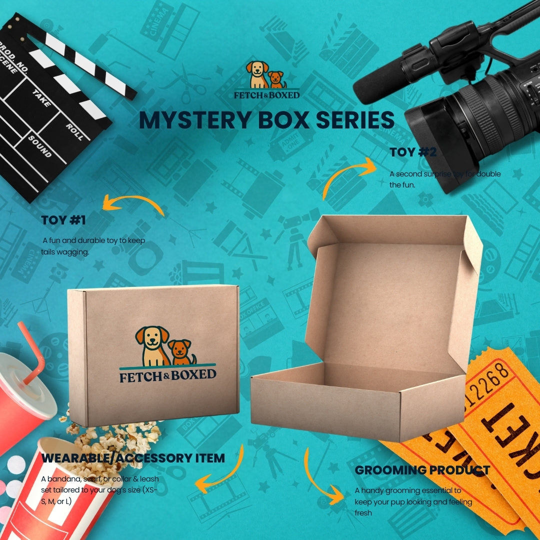 Mystery Box: Pupflix & Chill 🍿 Fetch & Boxed