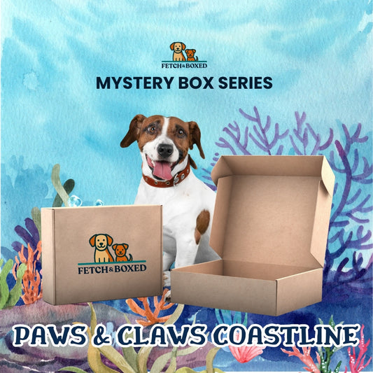 Fetch & Boxed | Mystery Box: Paws & Claws Coastline 🐚
