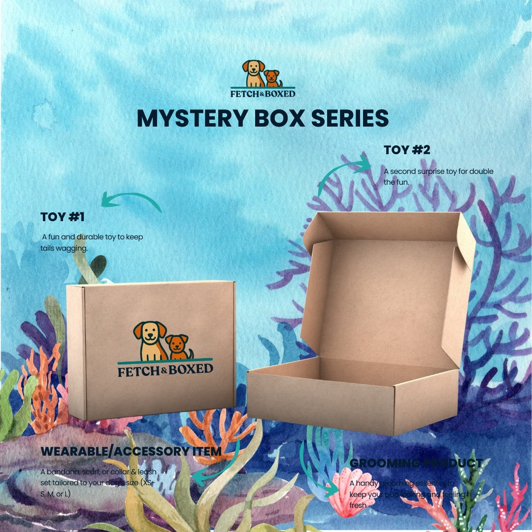 Fetch & Boxed | Mystery Box: Paws & Claws Coastline 🐚