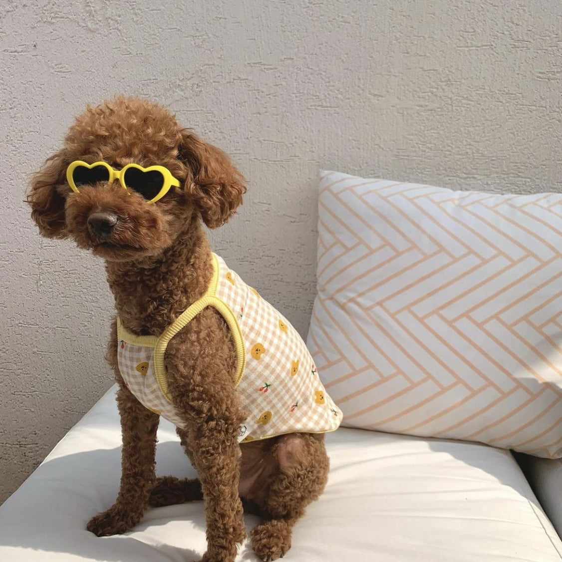 Creative Love Pet Dog Cat Creative Sunglasses Sun Glasses with Accessories Photo eprolo