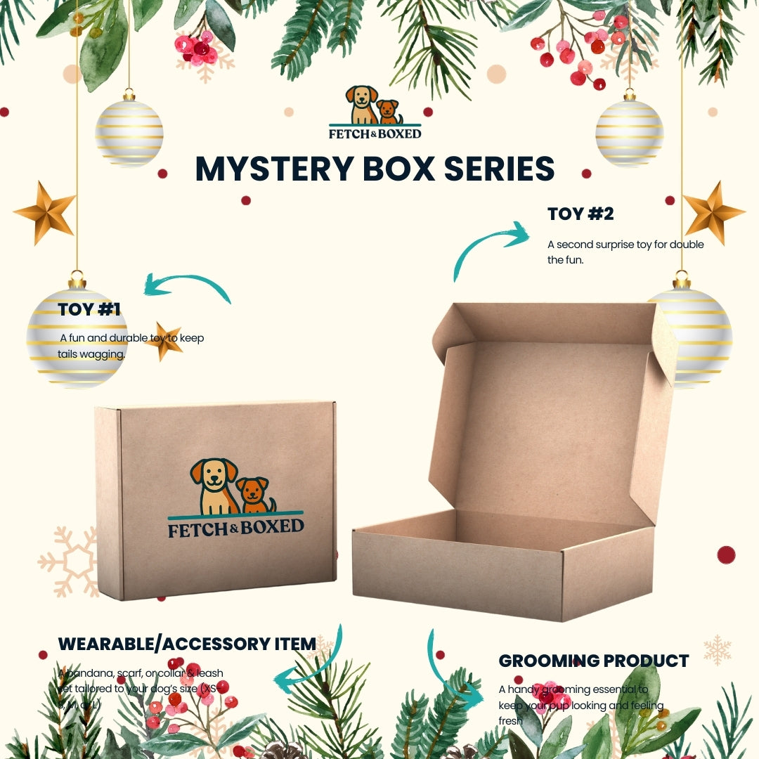 Fetch & Boxed | Mystery Box: Santa Paws Express 🎁