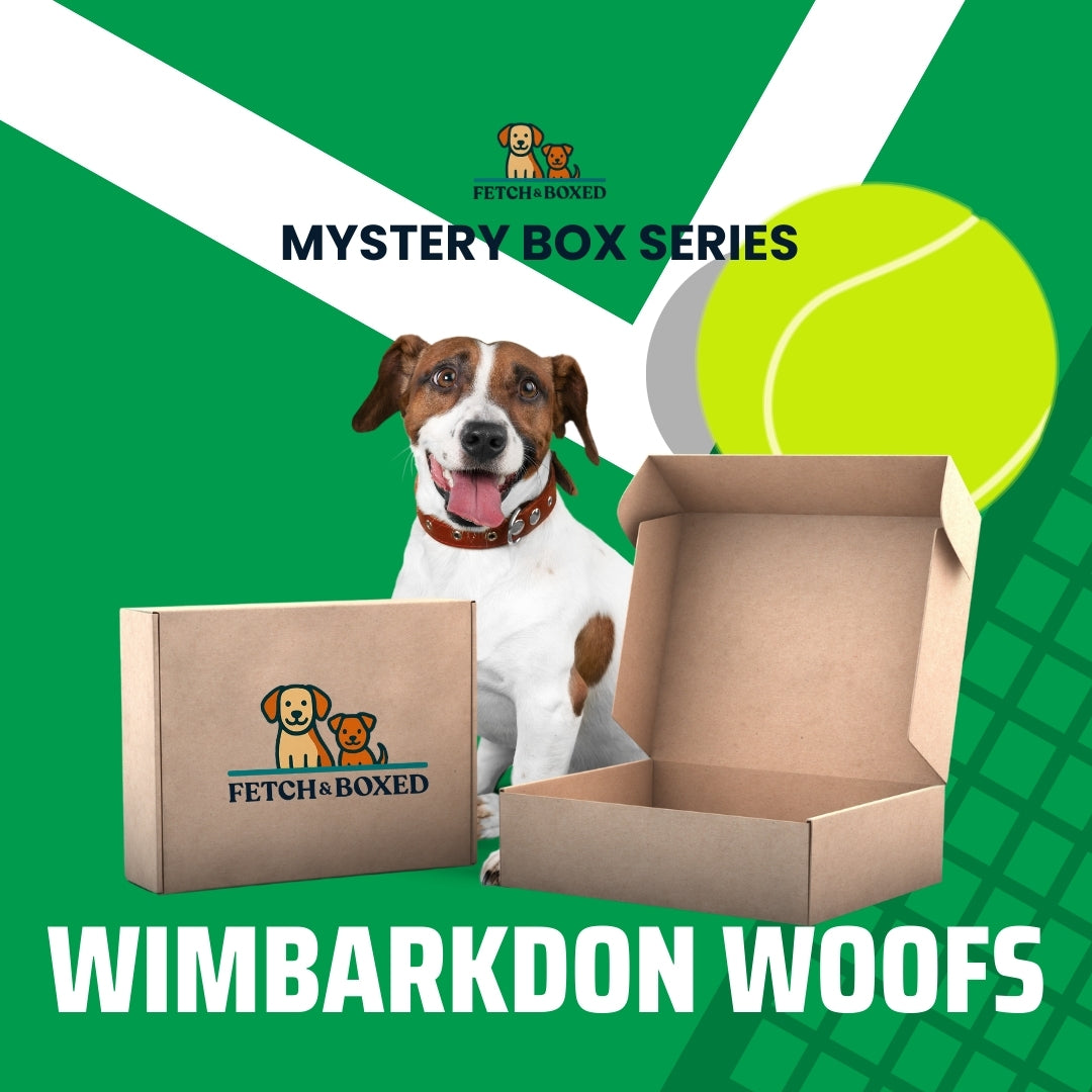 Mystery Box: Wimbarkdon Woofs 🎾 Fetch & Boxed