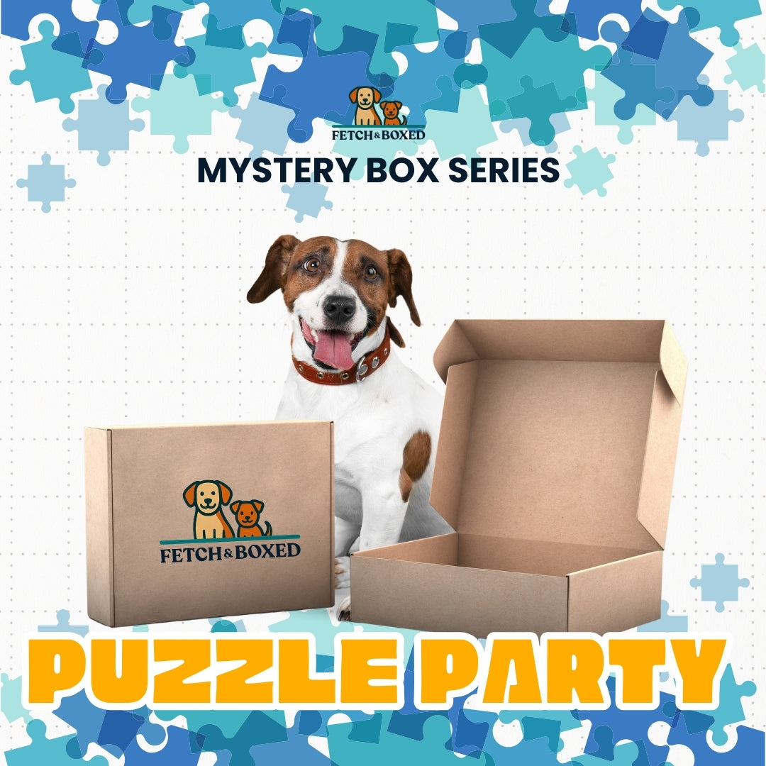 Mystery Box: Pawzzle Party 🧠 Fetch & Boxed