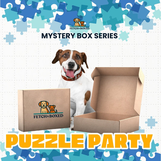 Mystery Box: Pawzzle Party 🧠 Fetch & Boxed