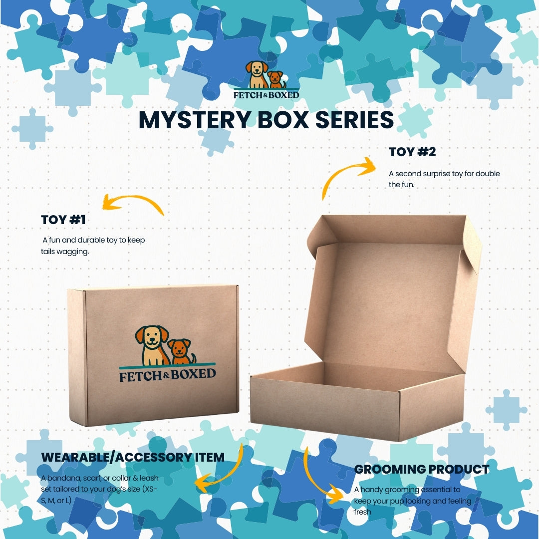 Mystery Box: Pawzzle Party 🧠 Fetch & Boxed
