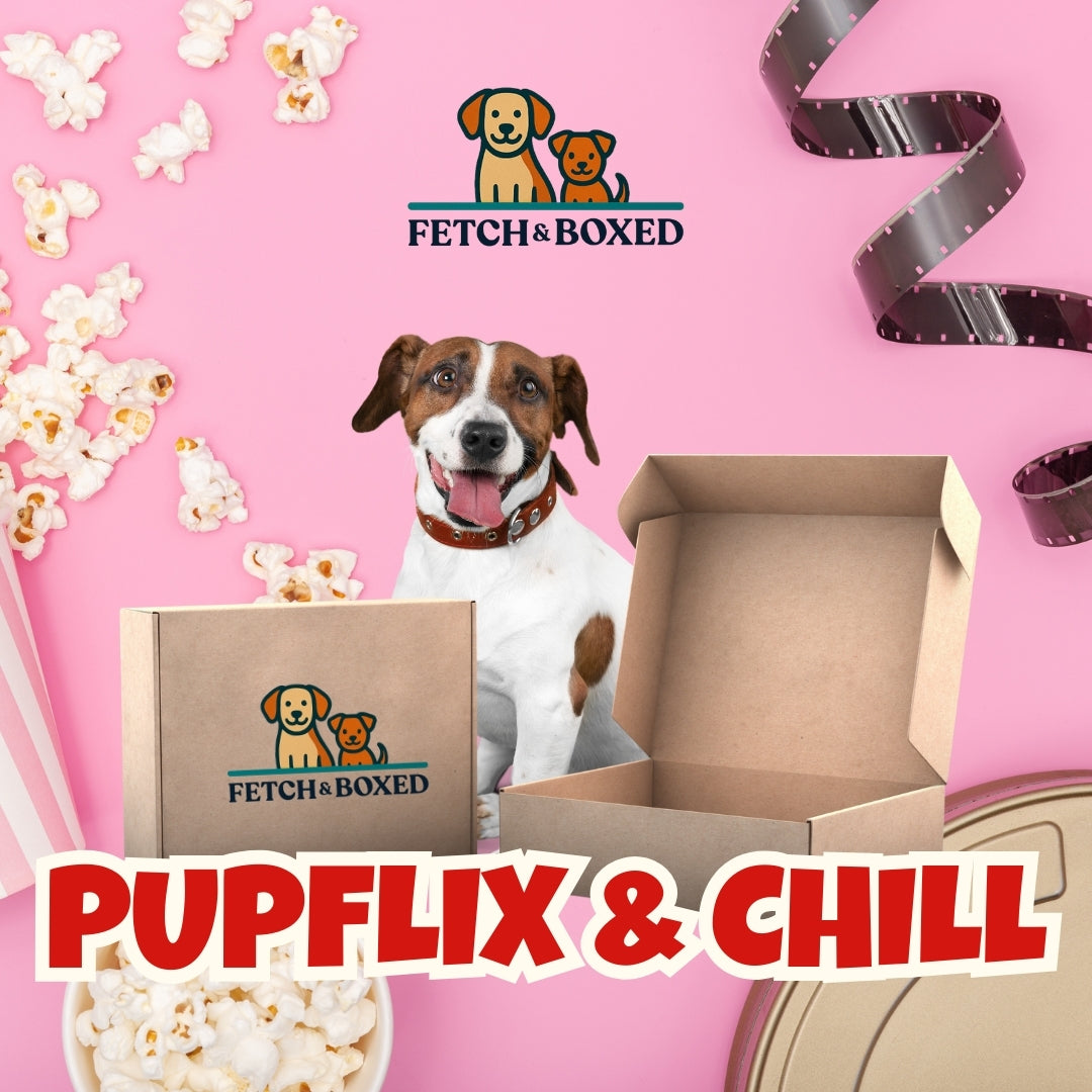 Fetch & Boxed | Pupflix & Chill 🍿 Fetch & Boxed