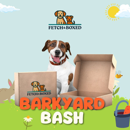 Fetch & Boxed | Barkyard Bash Fetch & Boxed