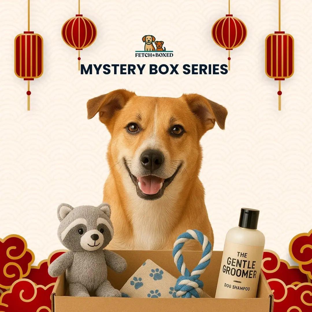 Mystery Box: The Barking Wok 🐶 Fetch & Boxed