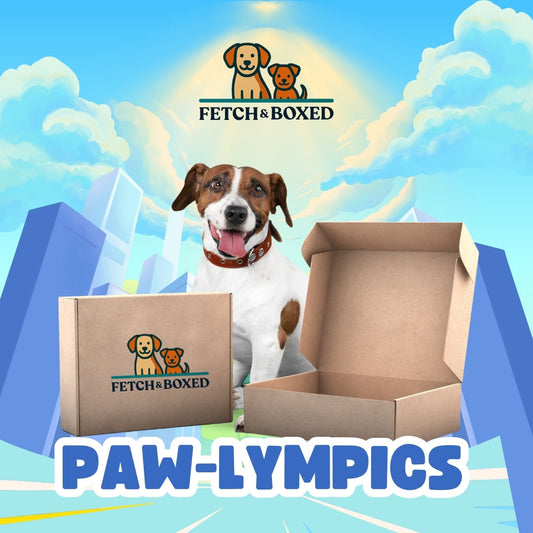 Fetch & Boxed - Paw-lympics(New) Fetch & Boxed