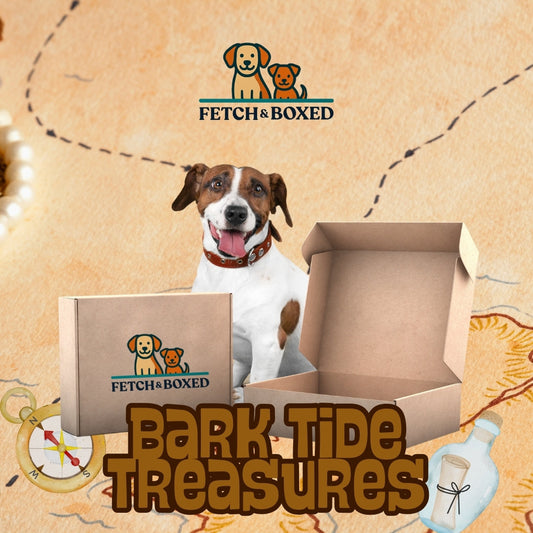 Fetch & Boxed | Bark Tide Treasures Fetch & Boxed