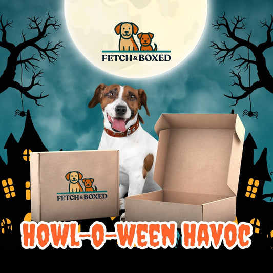 Fetch & Boxed | Howl-o-ween Havoc Fetch & Boxed