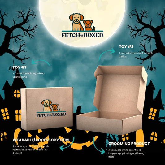 Fetch & Boxed | Howl-o-ween Havoc Fetch & Boxed
