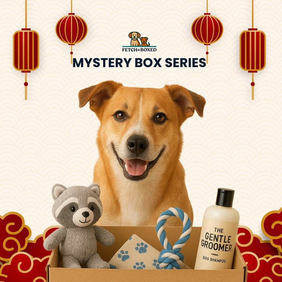 Fetch & Boxed | Mystery Box: The Barking Wok 🐶