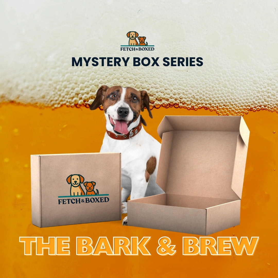 Mystery Box: The Bark & Brew 🍺 Fetch & Boxed
