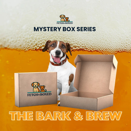 Mystery Box: The Bark & Brew 🍺 Fetch & Boxed