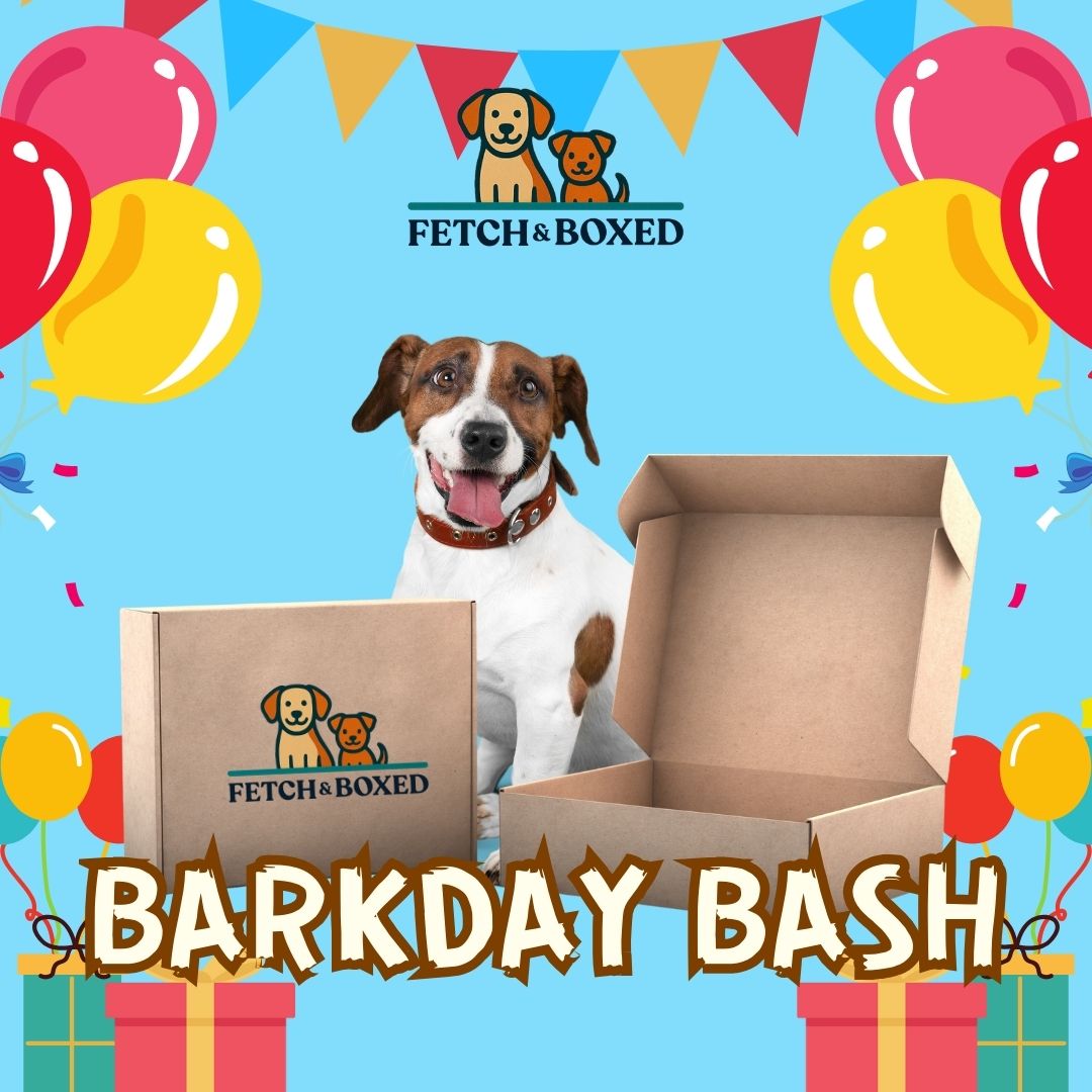 Fetch & Boxed | Barkday Bash Box Fetch & Boxed