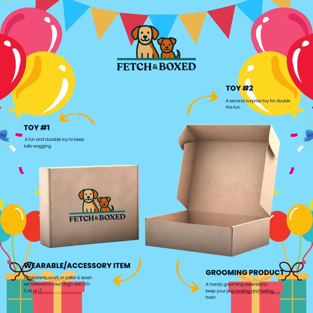Fetch & Boxed | Barkday Bash Box Fetch & Boxed