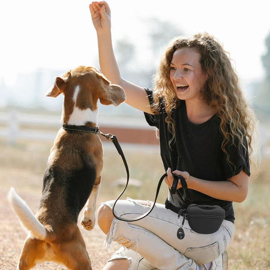 Silicone Dog Training Waist Bag Outdoor Portable Crossbody Pet Snack Pouch eprolo