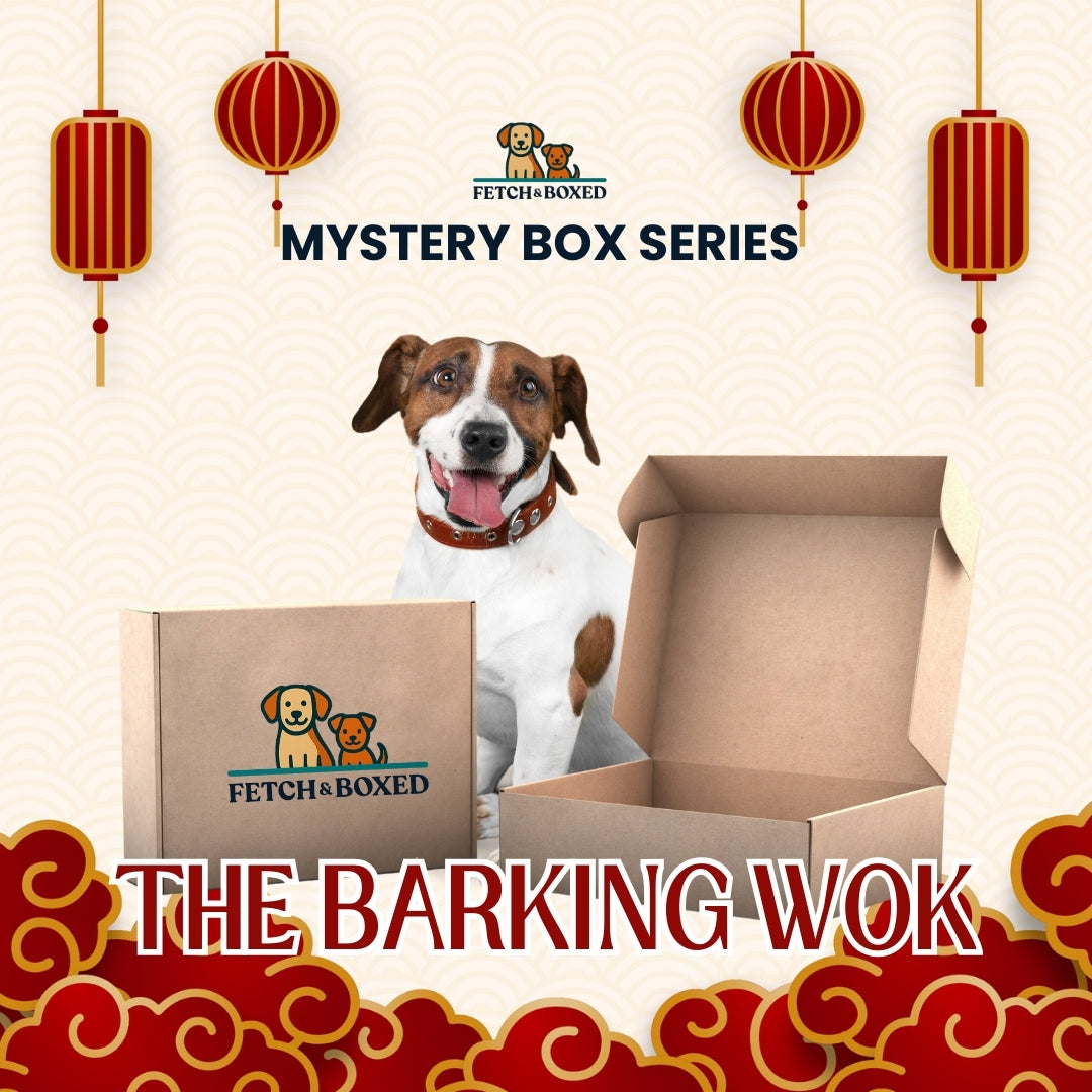 Fetch & Boxed | Mystery Box: The Barking Wok 🐶