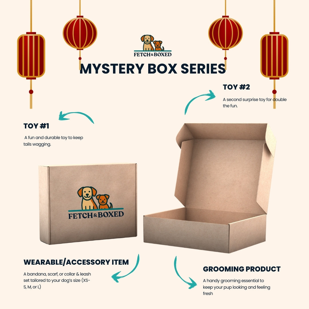 Fetch & Boxed | Mystery Box: The Barking Wok 🐶